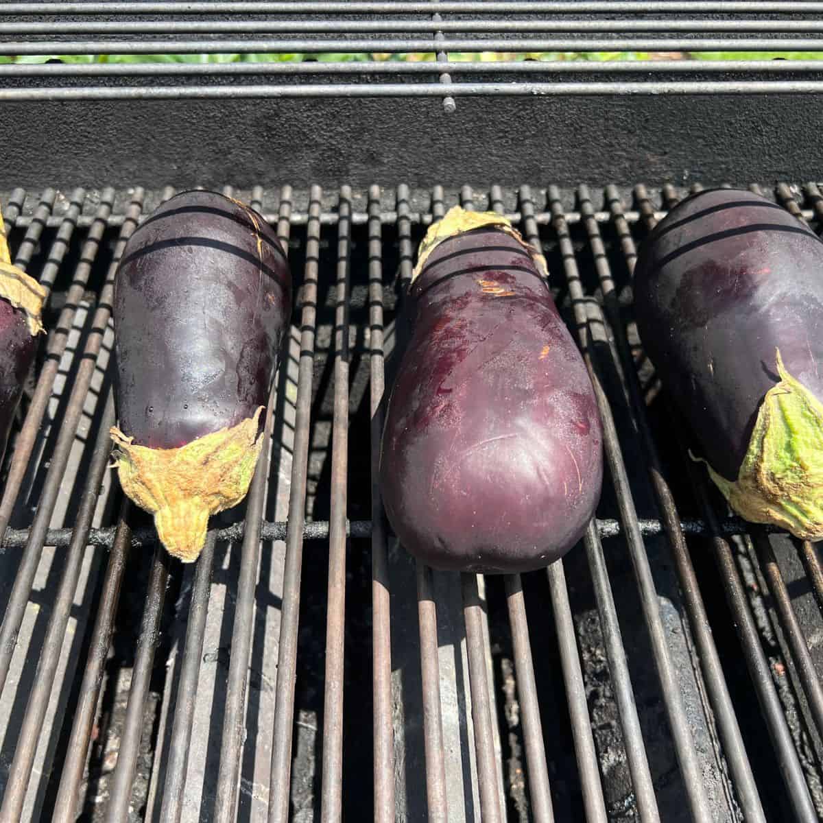 Eggplants on a grill