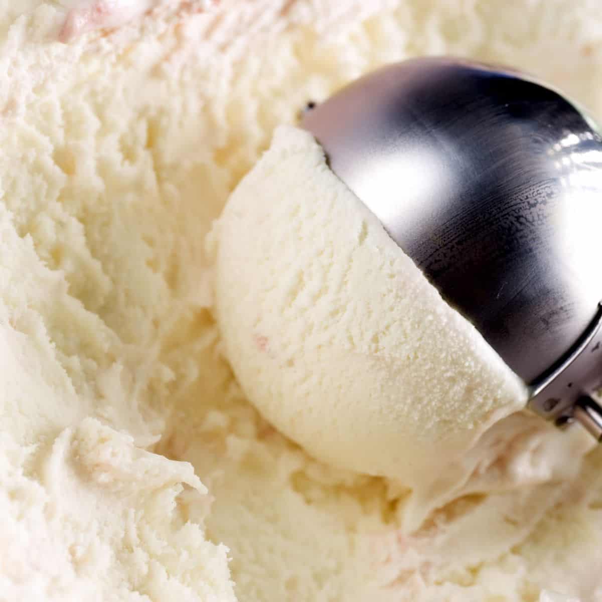 vanilla ice cream with a scooper