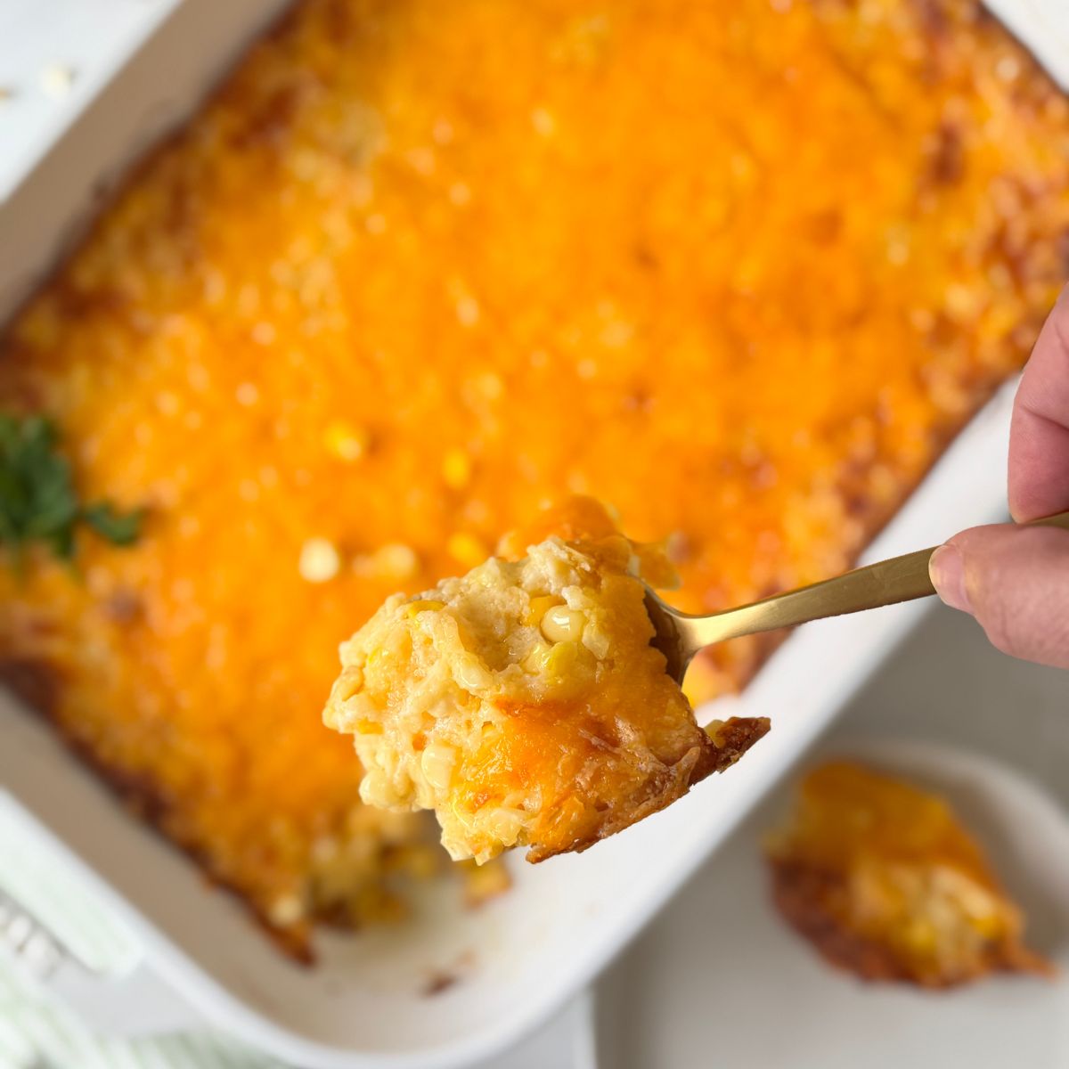 A gluten-free corn casserole being spooned out of the white casserole dish. 