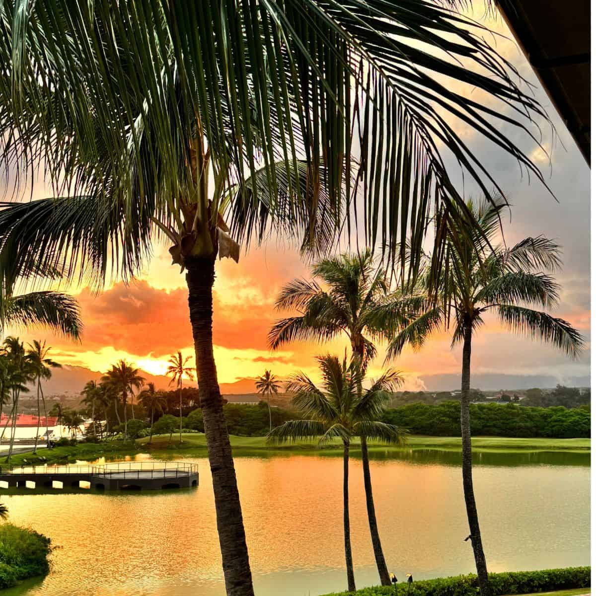 Sunset overlooking the bay. 