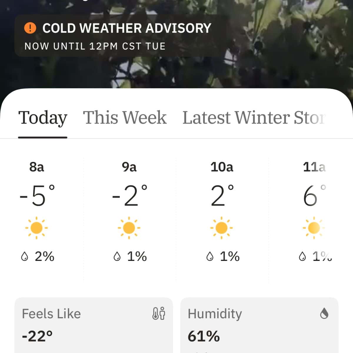 Cold weather picture showing a minus 5 degrees. 