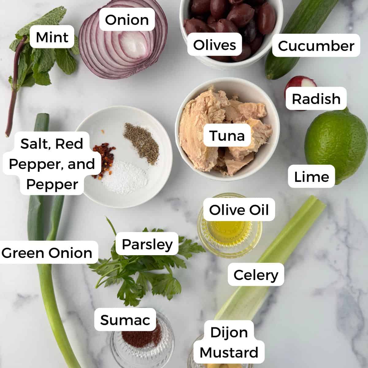 Ingredients include onion, mint, olive, cucumber, radish, lime, tuna, salt, red pepper, black pepper, olive oil, clelery, dijon mustard, sumac, parsley and green onion. 