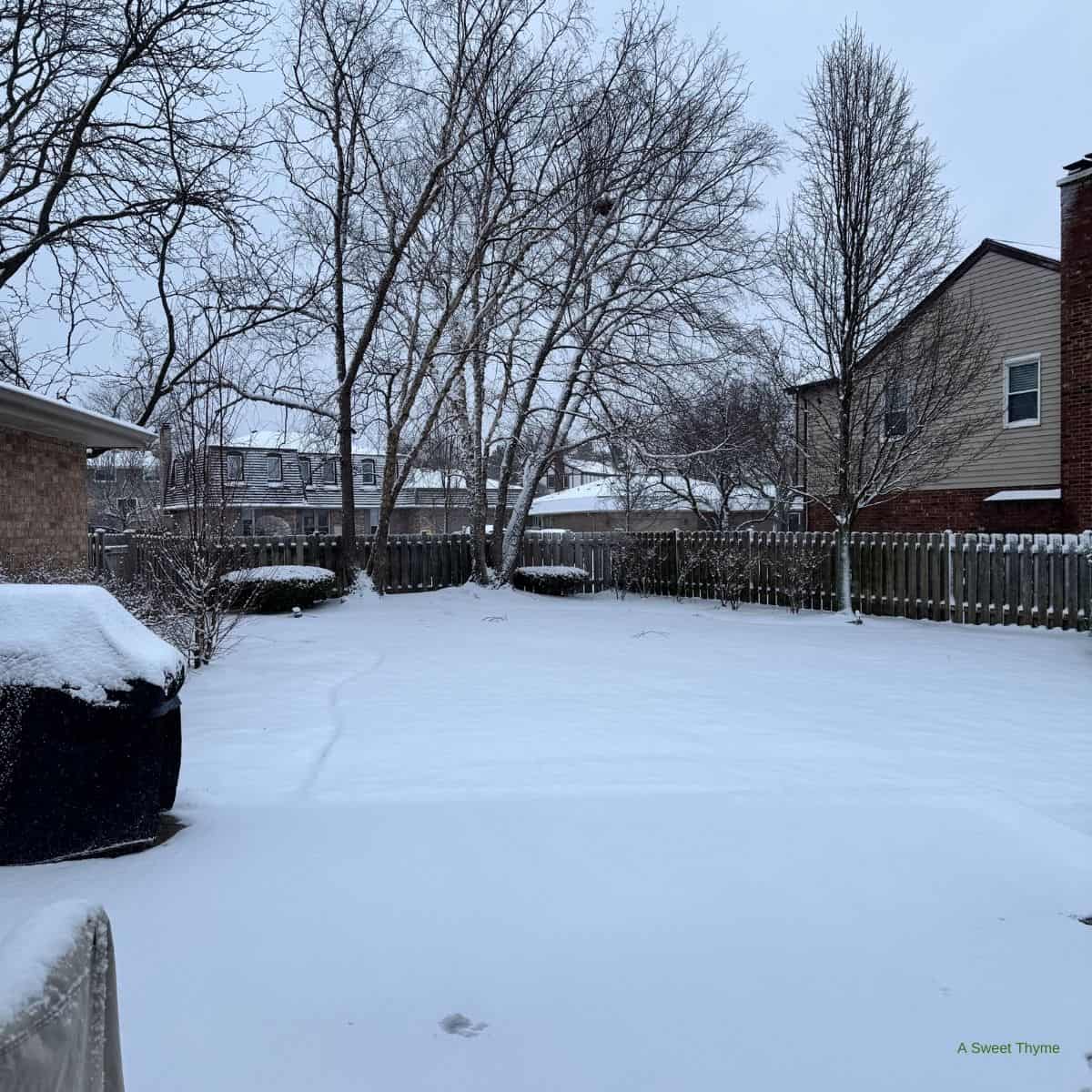 A spring snowstorm.