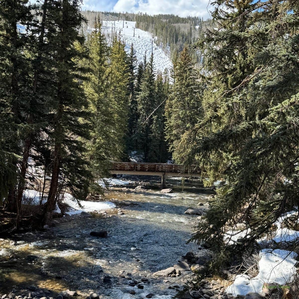 The river in Vail. 