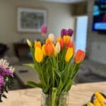 Tulips.