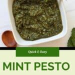 A square white bowl filled with vibrant mint pesto, garnished with a mint leaf, sits on a white surface. Text below reads: Quick & Easy Mint Pesto GF | Vegan | DF. A wooden spoon and fresh mint leaves are nearby.