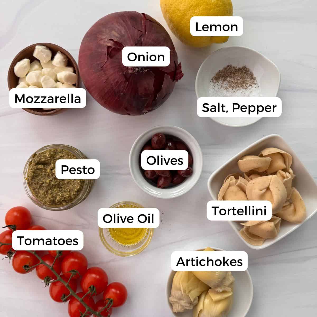 A variety of ingredients for Tortellini Pesto Pasta Salad on a white surface, each labeled: mozzarella, onion, lemon, salt and pepper, pesto, olives, tortellini, artichokes, olive oil, and vine tomatoes.