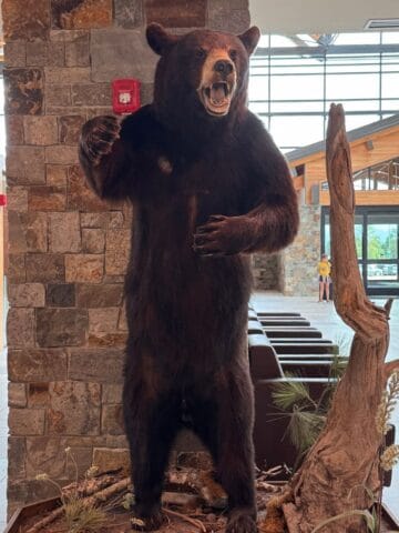 A large taxidermy black bear stands on its hind legs with its mouth open, displayed indoors near a stone wall and glass entrance at The Sunday Thymes. Dried plants and wood are arranged at its feet.