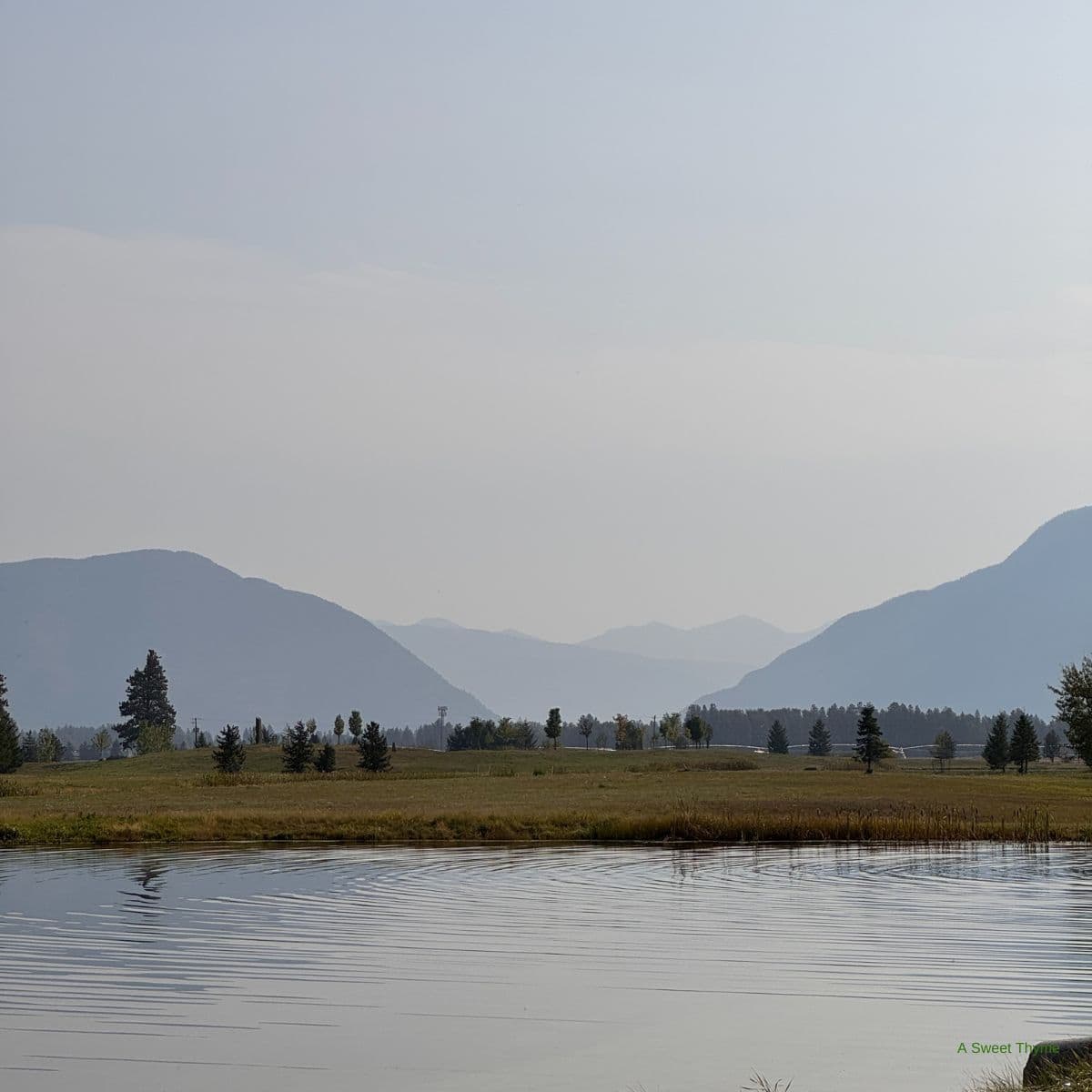 A calm pond reflects grassy fields and scattered trees under a hazy sky, with blue-gray mountains in the distance—a scene worthy of The Sunday Thymes.