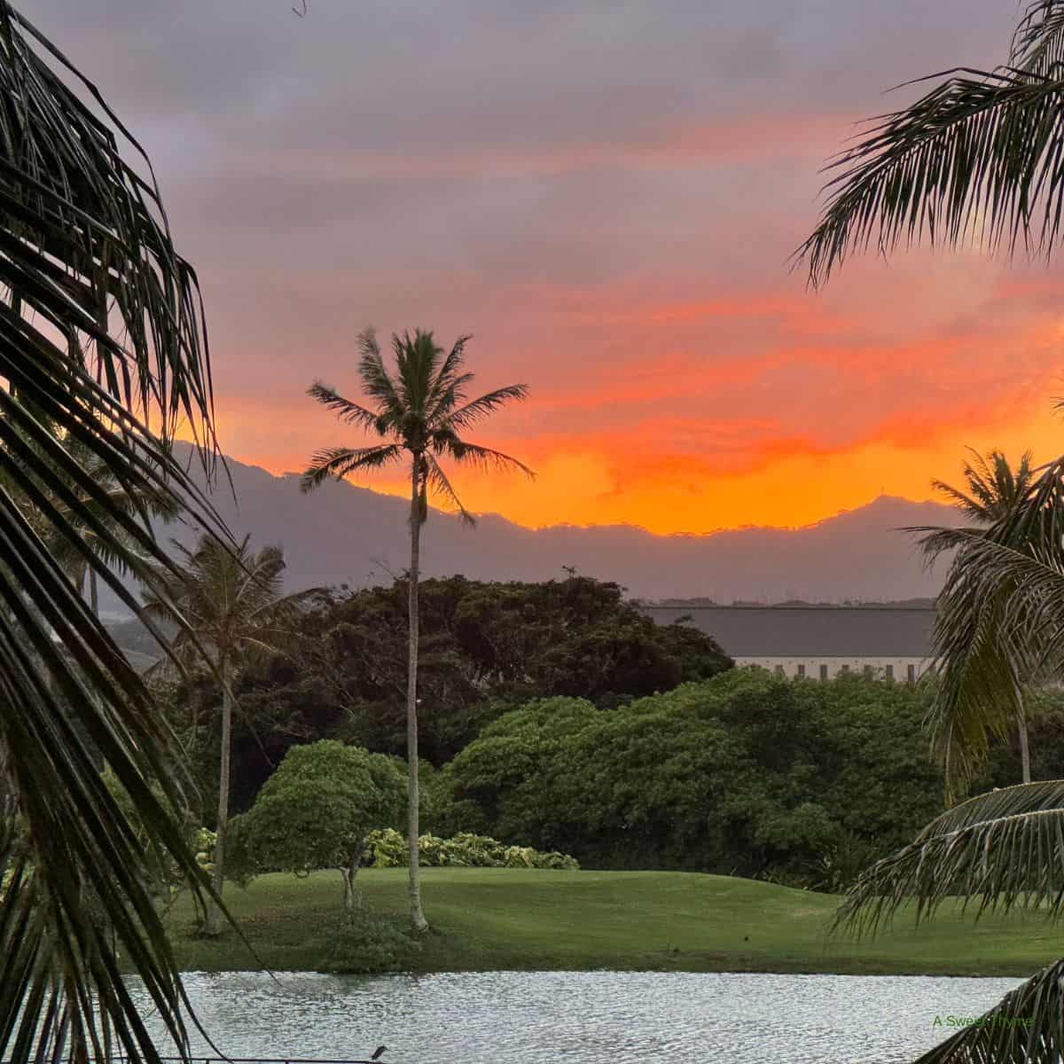 Sunset over a tropical landscape with orange and pink skies, silhouetted palm trees, lush green foliage, distant mountains, and a calm water body in the foreground—perfect for peaceful Sunday thymes.