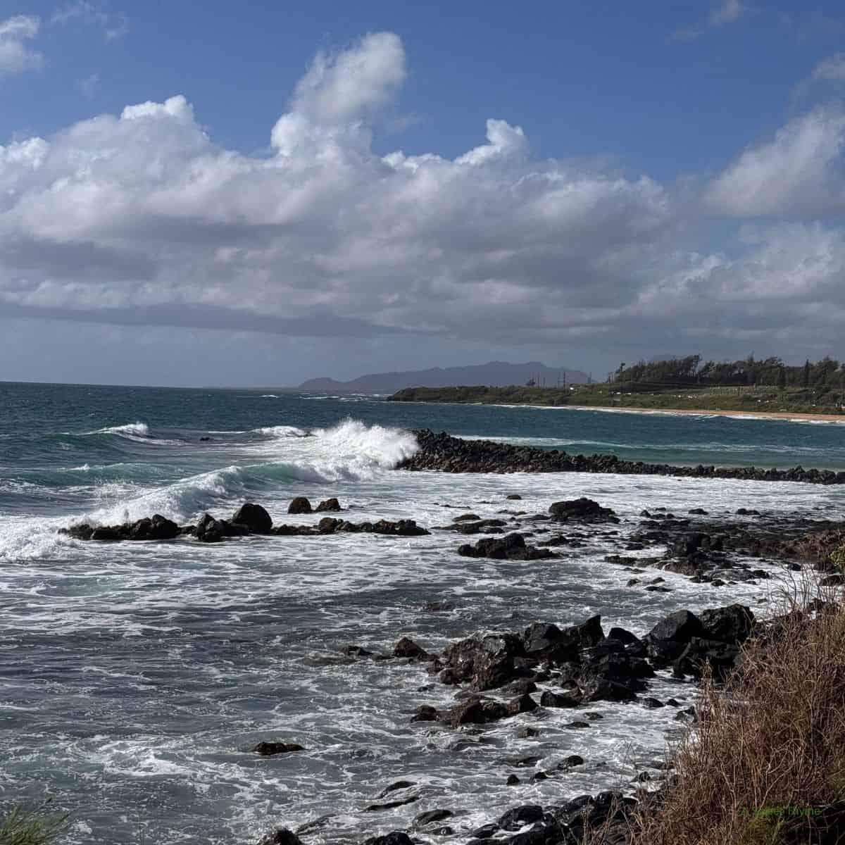 Waves crash against a rocky shoreline under a partly cloudy sky. A stone breakwater extends into the ocean, with distant mountains on the horizon. Grassy vegetation in the foreground adds a touch of Sunday thymes to the coastal scene.