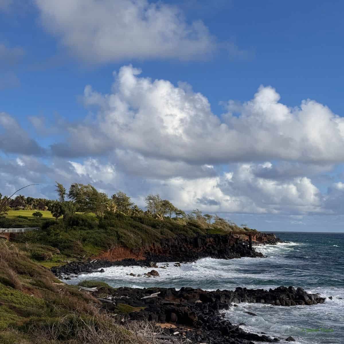 Rocky coastline with waves crashing against dark rocks, green grassy areas, scattered trees, and a partly cloudy blue sky above—perfect for a peaceful Sunday Thymes retreat.