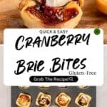 A close-up of gluten-free Puff Pastry Bites filled with melted cheese, cranberry sauce, and nuts in pastry cups, plus a tray of Cranberry Brie bites below, with text overlay highlighting this delicious gluten-free recipe.