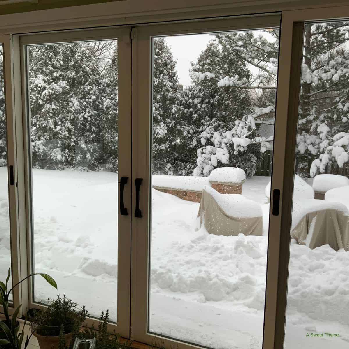 A snowy backyard is viewed through large glass sliding doors, with trees and outdoor furniture covered in heavy snow. Potted plants sit inside near the door on the left, bringing a touch of Sunday Thymes warmth indoors.