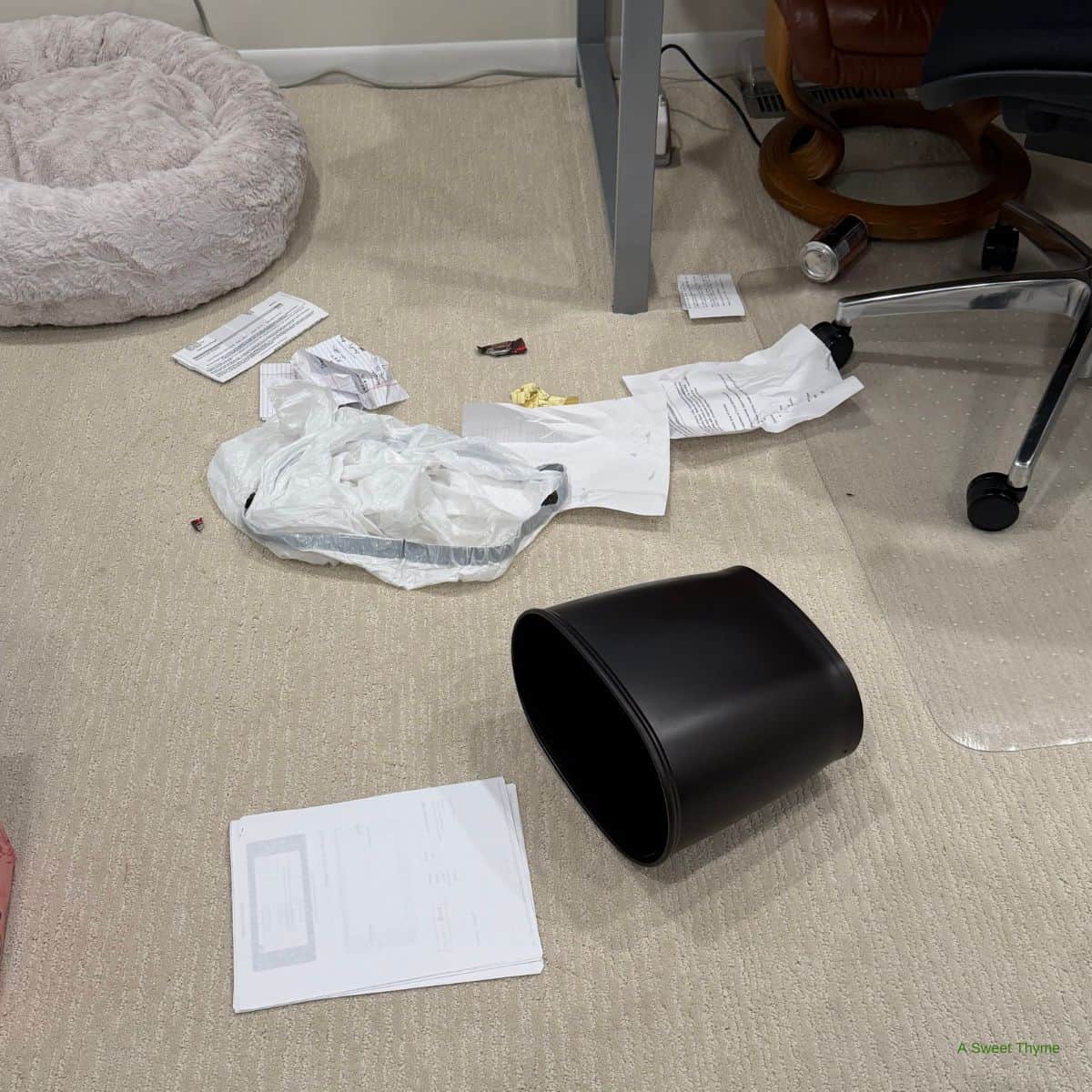 A toppled black trash can with scattered papers—including a crumpled Sunday Thymes—spills trash on a beige carpet near an office chair, desk, and a pet bed.