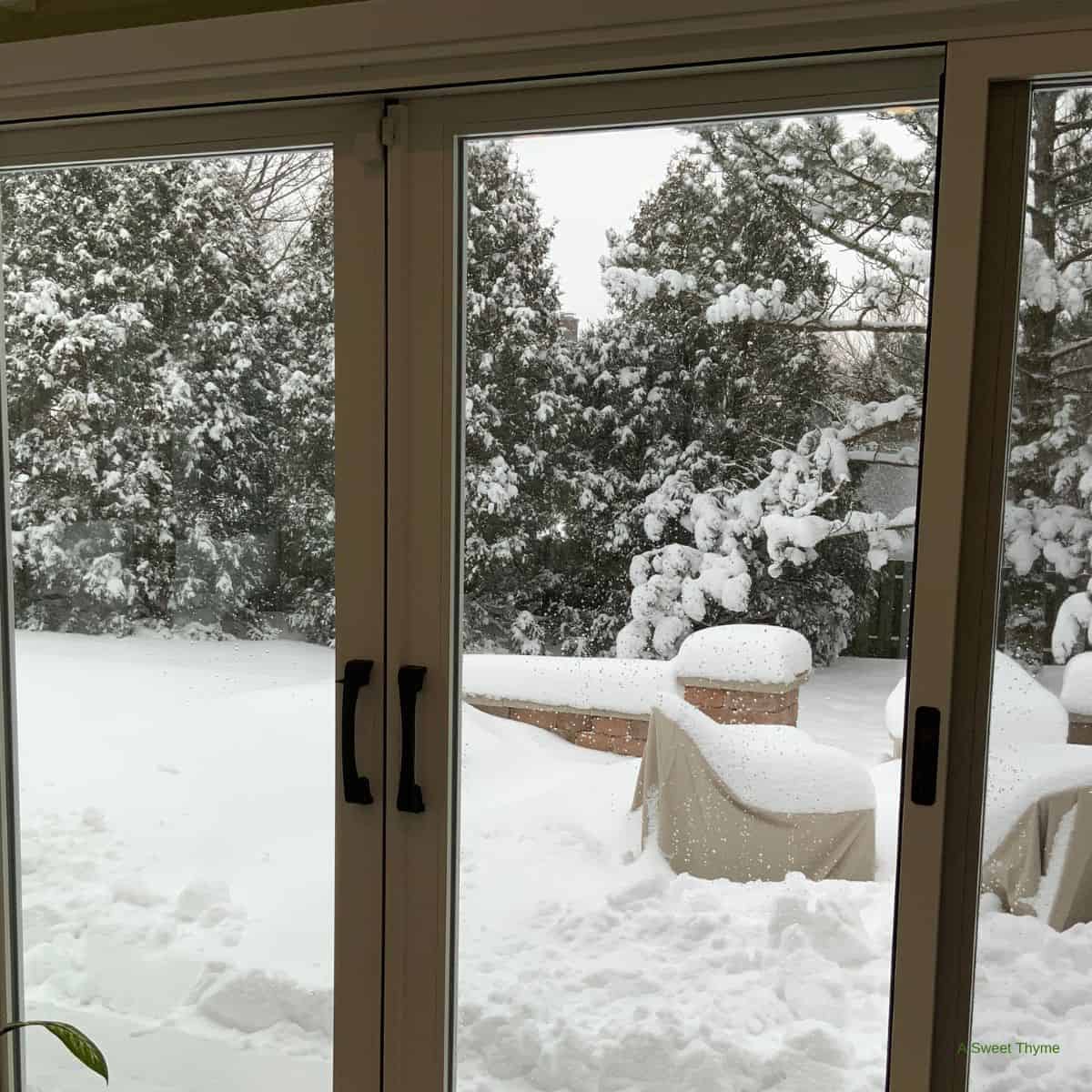 A snowy backyard seen through glass sliding doors, with trees covered in snow and patio furniture partially buried under a thick layer of snow—a peaceful Sunday Thymes scene.
