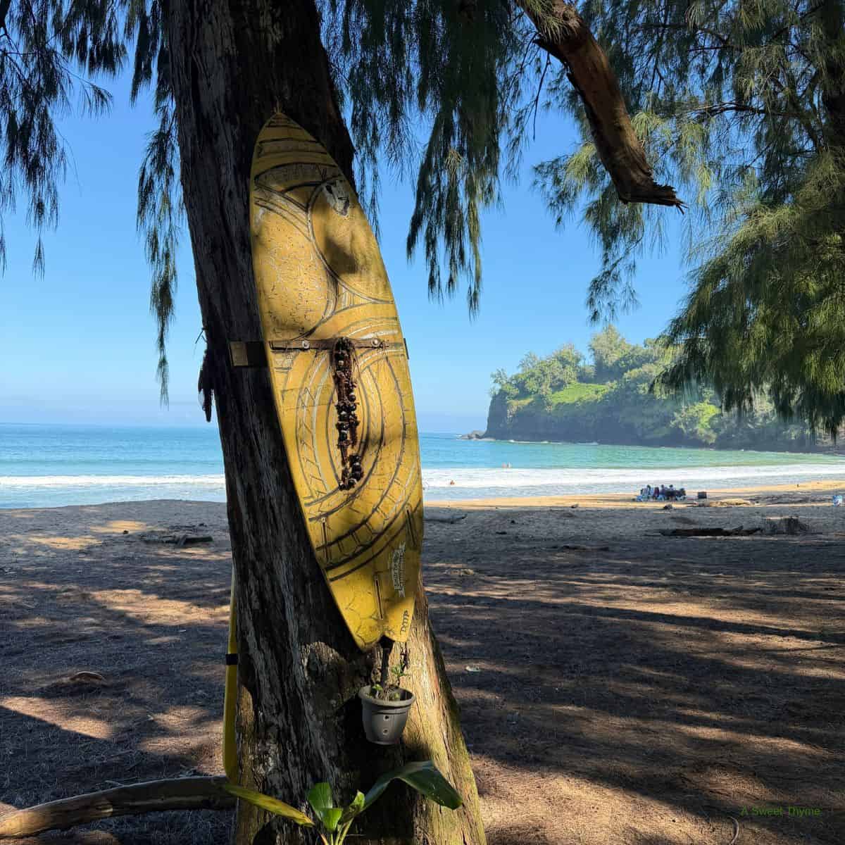 A yellow surfboard decorated with a lei hangs on a tree trunk at a shady beach, where Sunday Thymes are spent enjoying turquoise waves, sandy shores, and green cliffs under a clear blue sky.