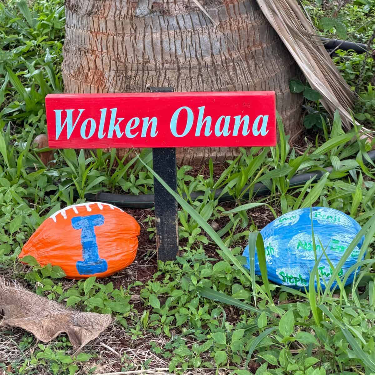 A red sign reading Wolken Ohana is staked in the grass near a tree, with two painted rocks beside it—one orange like a football and one blue with green markings, adding a touch of Sunday Thymes charm to the scene.